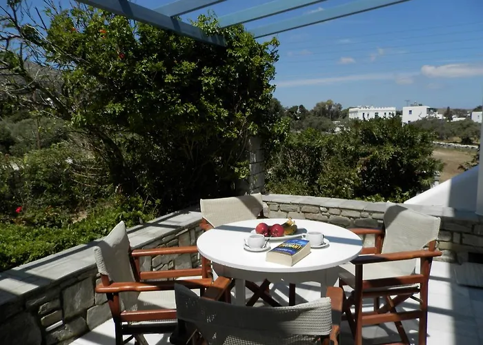 واستوديوهات نيسيوتيكو *