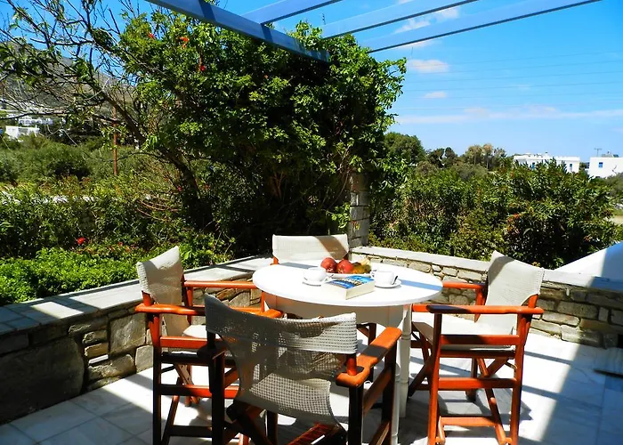 واستوديوهات نيسيوتيكو