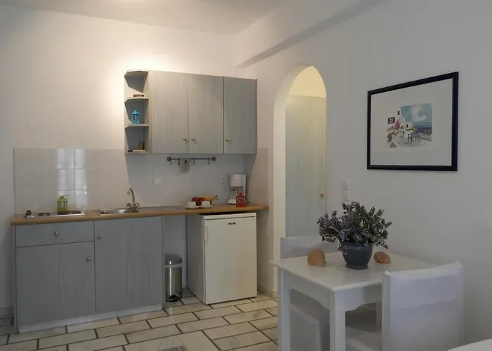 شقة واستوديوهات نيسيوتيكو *