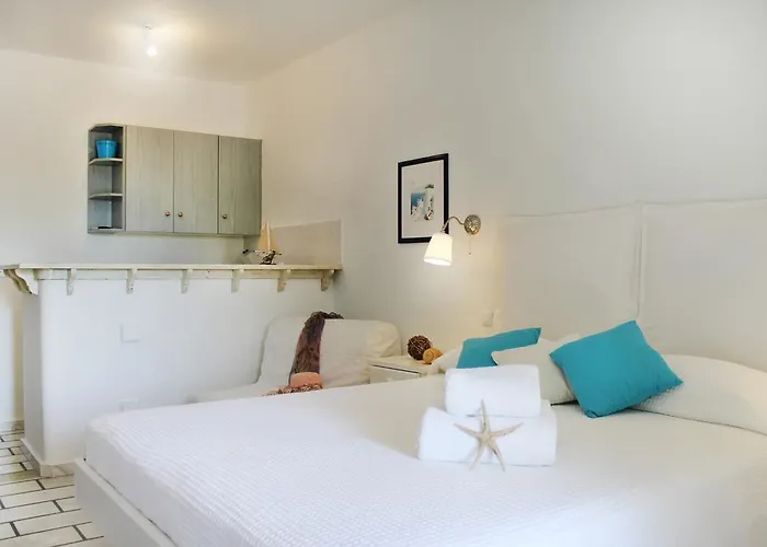 واستوديوهات نيسيوتيكو *