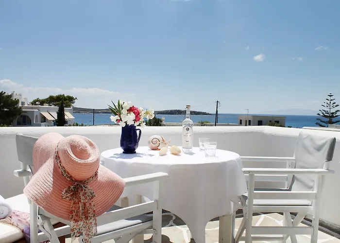 واستوديوهات نيسيوتيكو